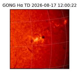 gong - 2026-08-17T12:00:22