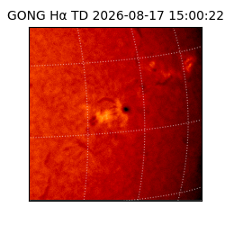 gong - 2026-08-17T15:00:22