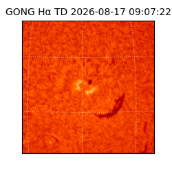 gong - 2026-08-17T09:07:22