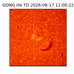 gong - 2026-08-17T11:00:22
