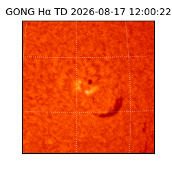 gong - 2026-08-17T12:00:22