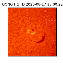gong - 2026-08-17T13:00:22