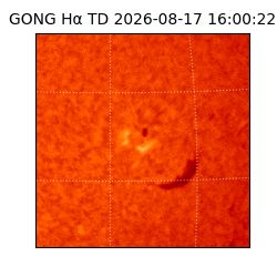 gong - 2026-08-17T16:00:22