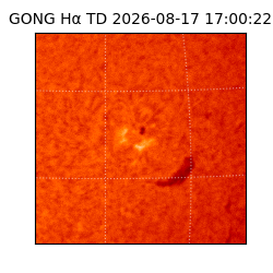 gong - 2026-08-17T17:00:22