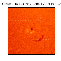 gong - 2026-08-17T19:00:02