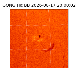 gong - 2026-08-17T20:00:02