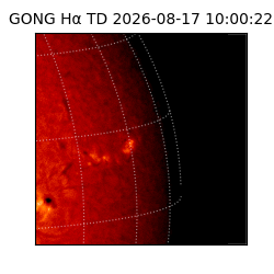 gong - 2026-08-17T10:00:22