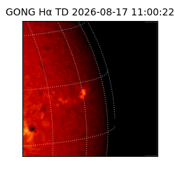 gong - 2026-08-17T11:00:22