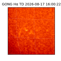 gong - 2026-08-17T16:00:22