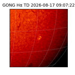 gong - 2026-08-17T09:07:22