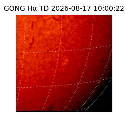 gong - 2026-08-17T10:00:22