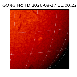 gong - 2026-08-17T11:00:22
