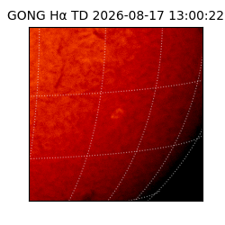 gong - 2026-08-17T13:00:22