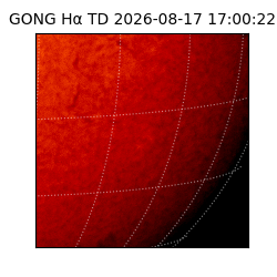 gong - 2026-08-17T17:00:22