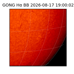 gong - 2026-08-17T19:00:02