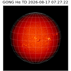 gong - 2026-08-17T07:27:22