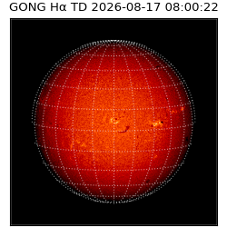 gong - 2026-08-17T08:00:22