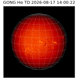 gong - 2026-08-17T14:00:22