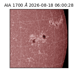 saia - 2026-08-18T06:00:28.719000