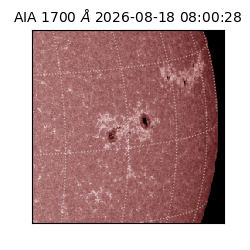 saia - 2026-08-18T08:00:28.722000