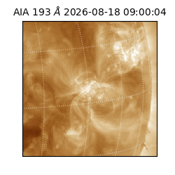 saia - 2026-08-18T09:00:04.842000
