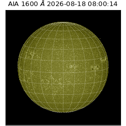 saia - 2026-08-18T08:00:14.124000
