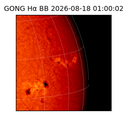 gong - 2026-08-18T01:00:02
