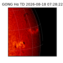 gong - 2026-08-18T07:28:22