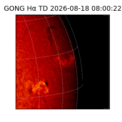 gong - 2026-08-18T08:00:22