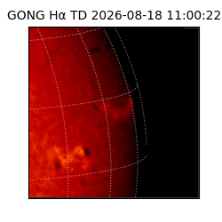 gong - 2026-08-18T11:00:22