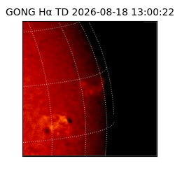 gong - 2026-08-18T13:00:22