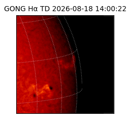 gong - 2026-08-18T14:00:22