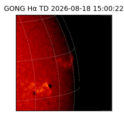 gong - 2026-08-18T15:00:22