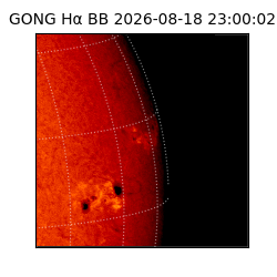 gong - 2026-08-18T23:00:02