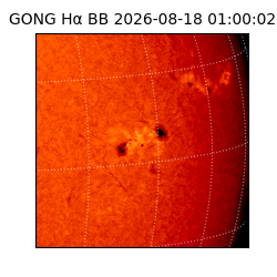 gong - 2026-08-18T01:00:02