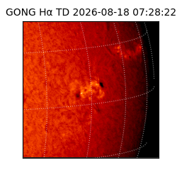 gong - 2026-08-18T07:28:22