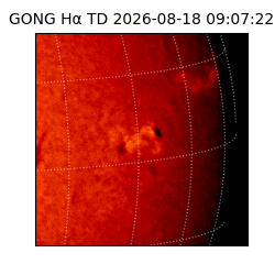 gong - 2026-08-18T09:07:22