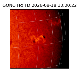 gong - 2026-08-18T10:00:22