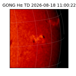 gong - 2026-08-18T11:00:22
