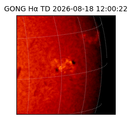 gong - 2026-08-18T12:00:22