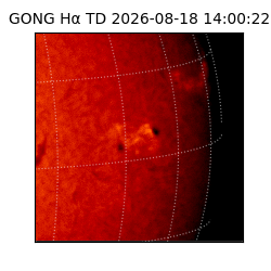 gong - 2026-08-18T14:00:22