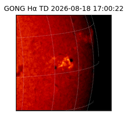 gong - 2026-08-18T17:00:22