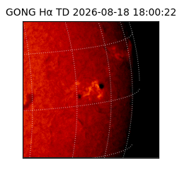gong - 2026-08-18T18:00:22