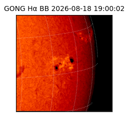 gong - 2026-08-18T19:00:02