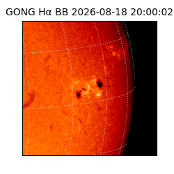 gong - 2026-08-18T20:00:02