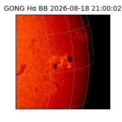 gong - 2026-08-18T21:00:02