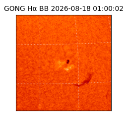 gong - 2026-08-18T01:00:02