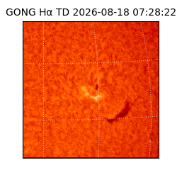 gong - 2026-08-18T07:28:22