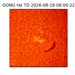 gong - 2026-08-18T08:00:22