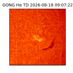 gong - 2026-08-18T09:07:22